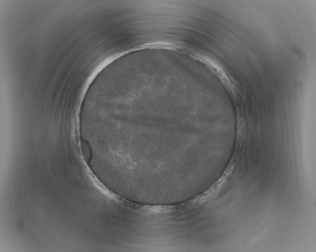 X0000111160808200907281152