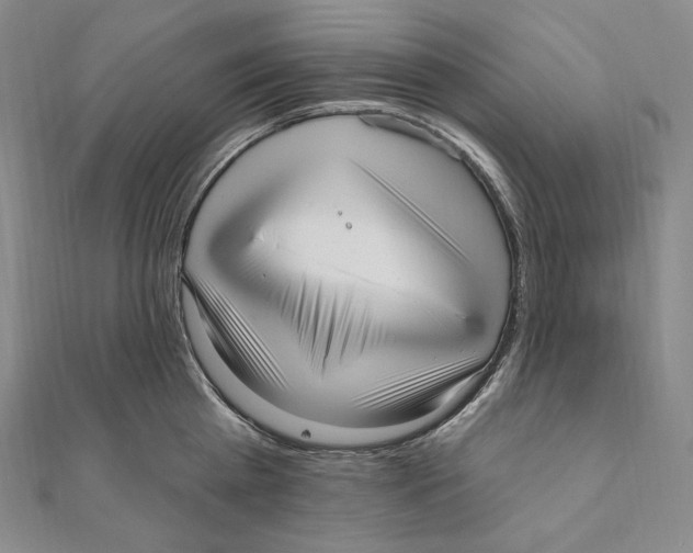 X0000111160809200907281152