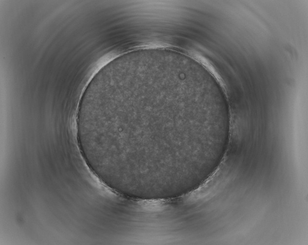 X0000111160810200907281151