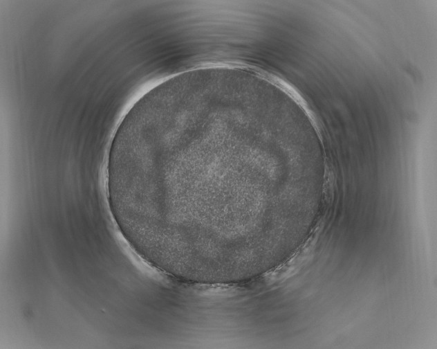 X0000111160811200907281151