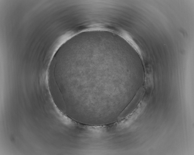 X0000111160813200907281151