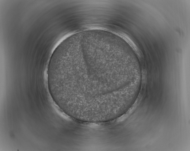 X0000111160814200907281151
