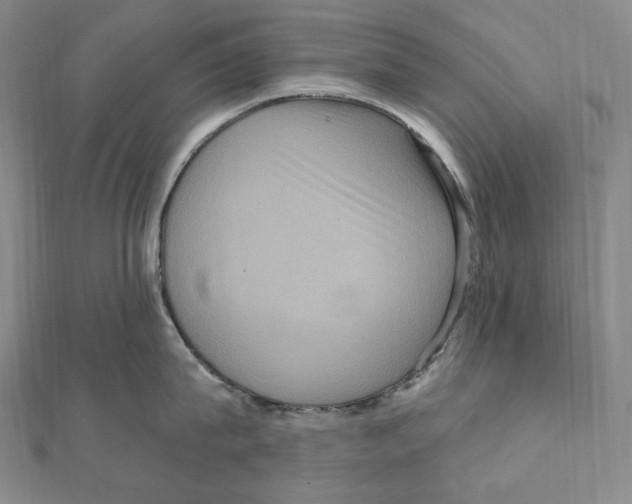 X0000111160815200907281151