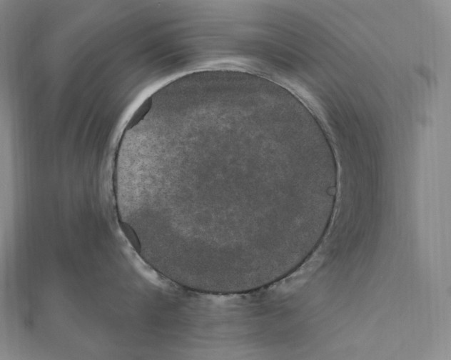 X0000111160816200907281151
