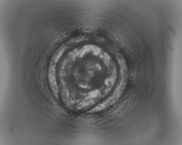 X0000111160817200907281151