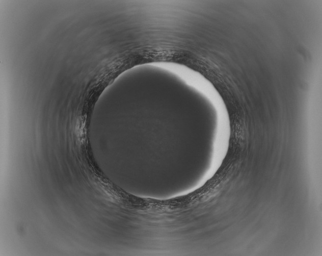 X0000111160818200907281151