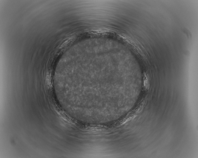 X0000111160819200907281151