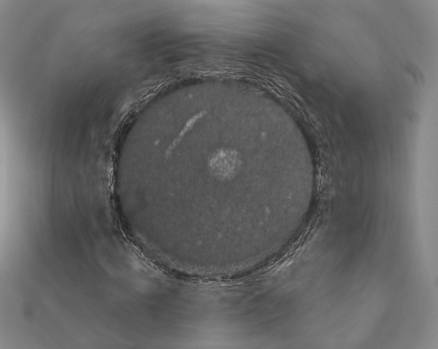 X0000111160820200907281151