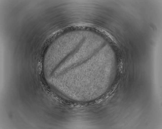 X0000111160821200907281151