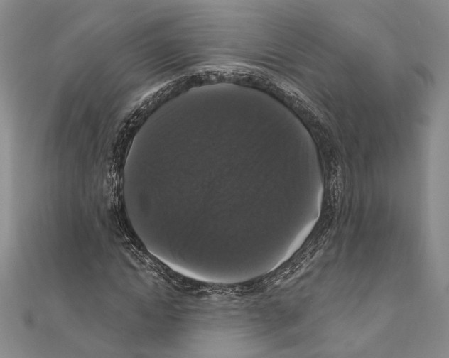 X0000111160822200907281151