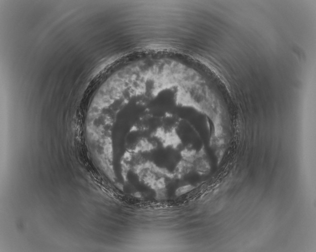 X0000111160823200907281151