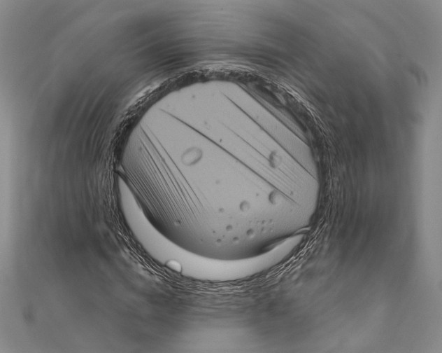 X0000111160824200907281151