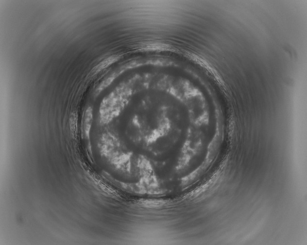 X0000111160825200907281151