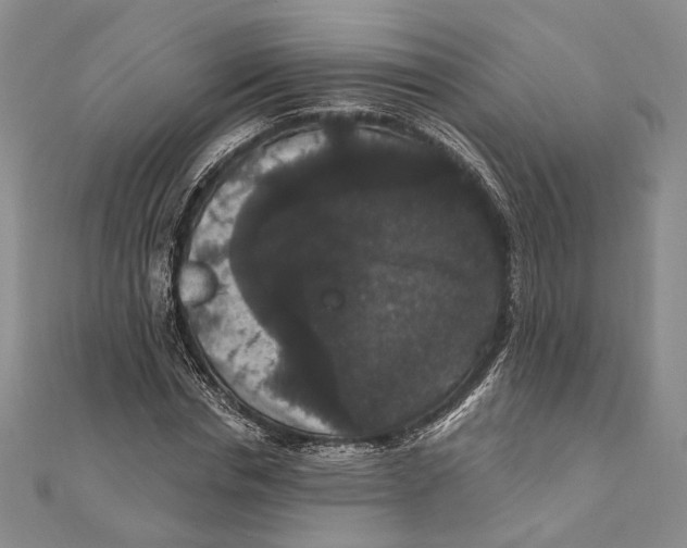 X0000111160826200907281151