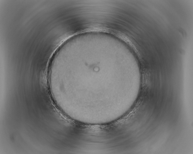 X0000111160828200907281151