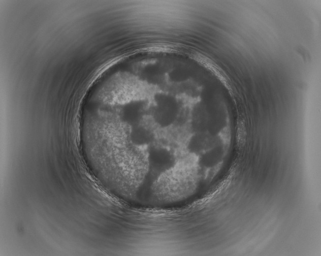 X0000111160829200907281151