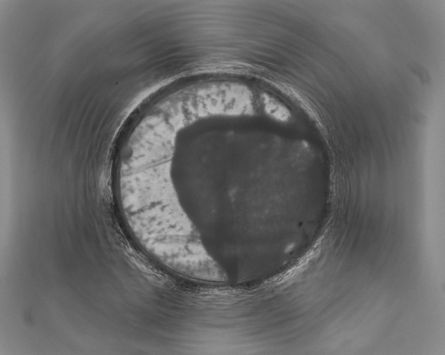 X0000111160830200907281151