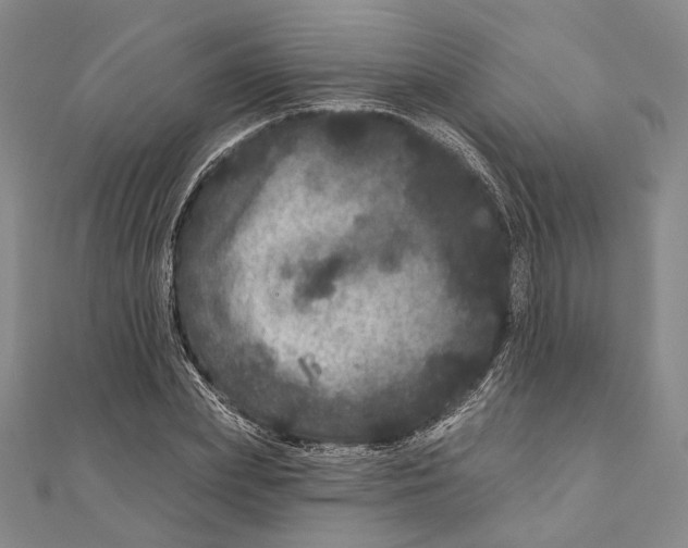 X0000111160831200907281151