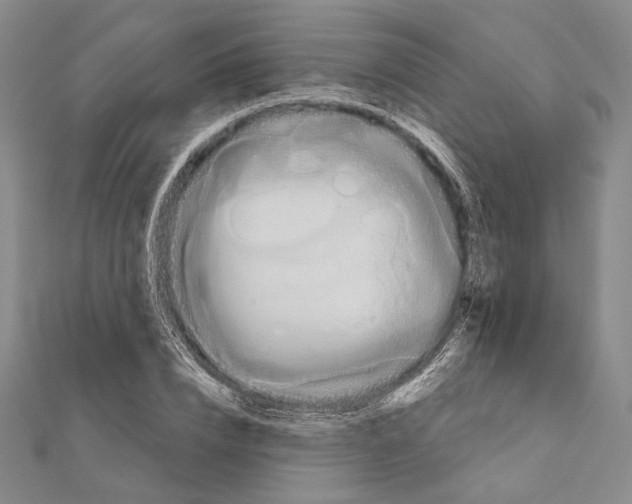 X0000111160832200907281151