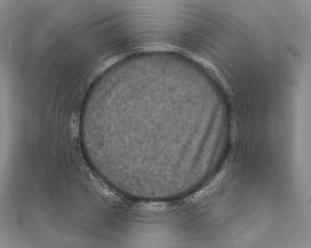 X0000111160833200907281151
