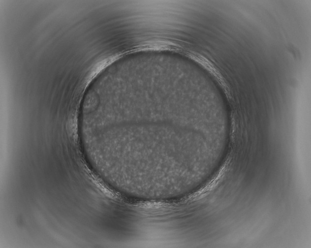 X0000111160834200907281151