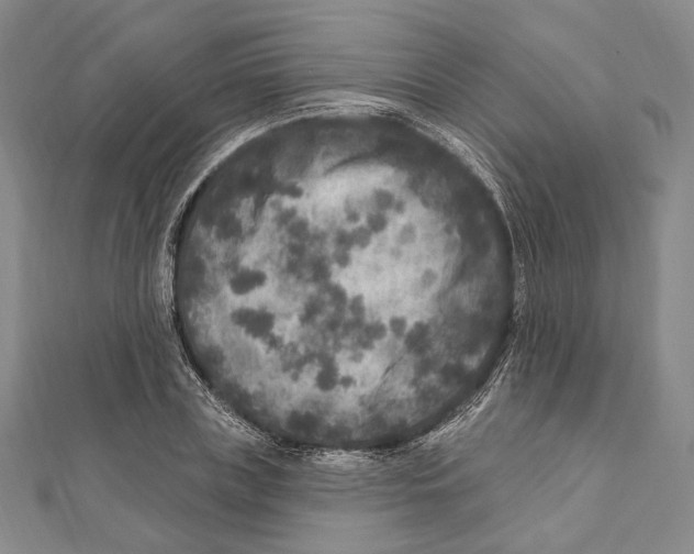 X0000111160835200907281151