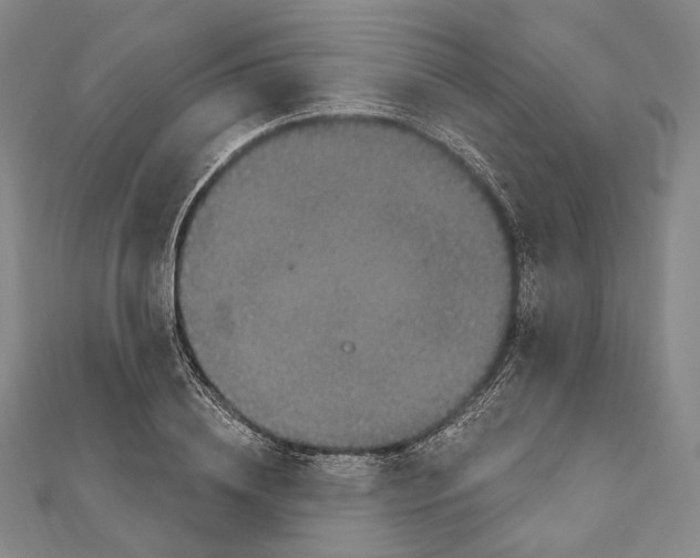 X0000111160836200907281151