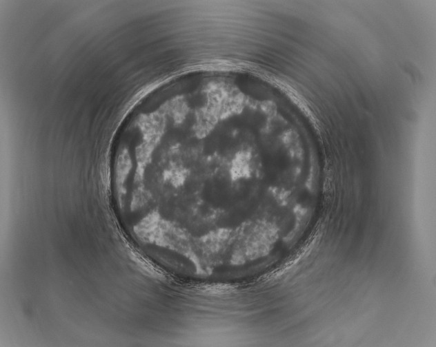 X0000111160837200907281151