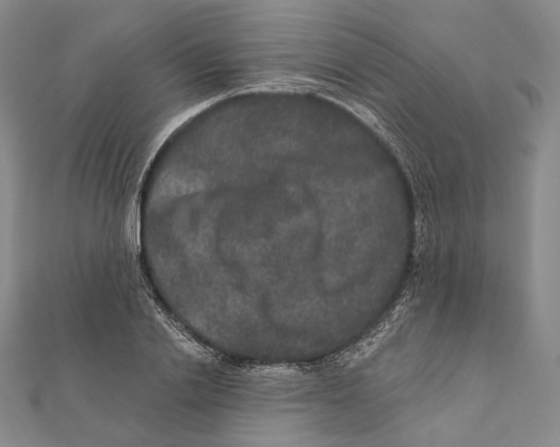 X0000111160838200907281151