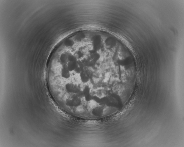 X0000111160839200907281151