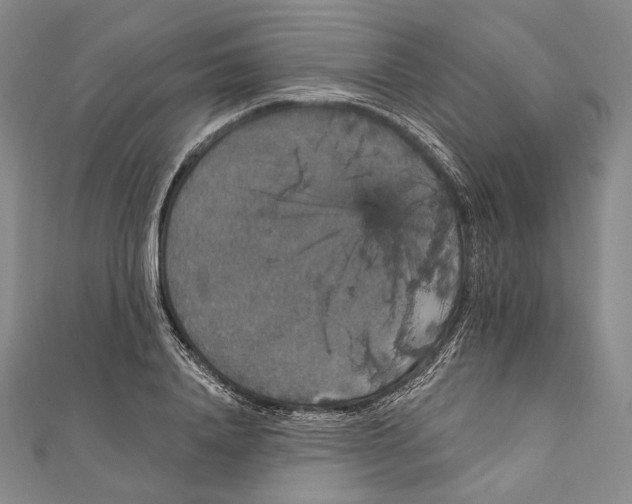 X0000111160840200907281151