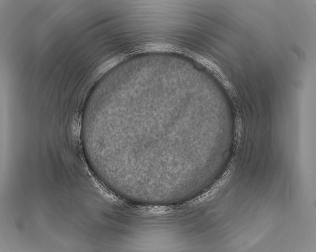X0000111160841200907281151