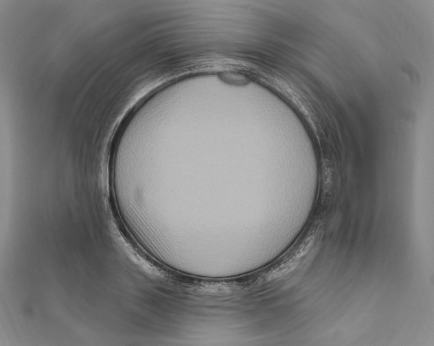 X0000111160843200907281151
