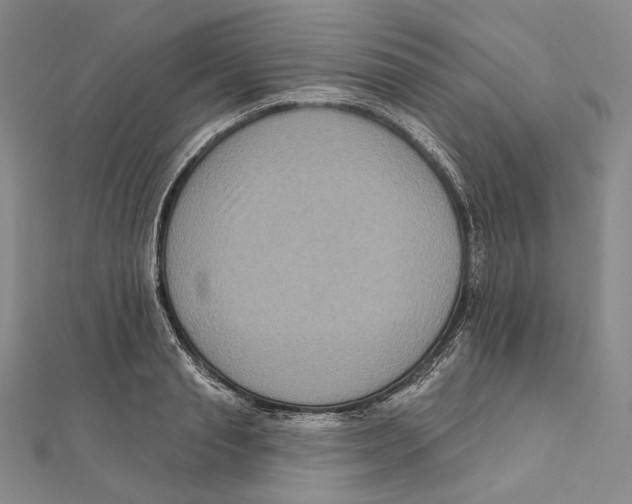 X0000111160845200907281151