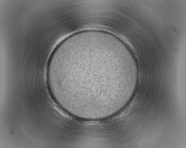 X0000111160846200907281151