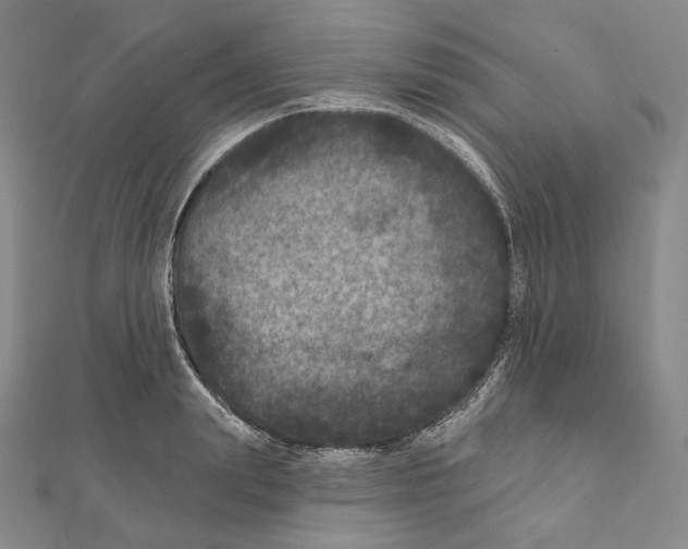X0000111160847200907281151