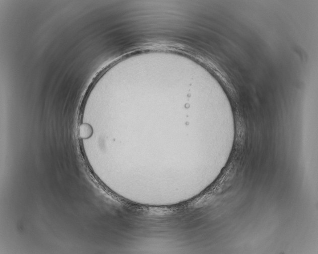 X0000111160848200907281151