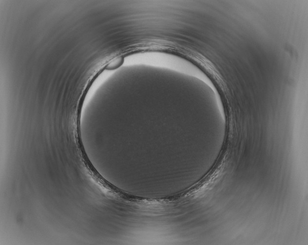 X0000111160850200907281151