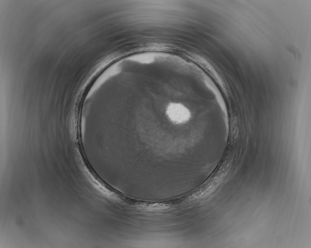 X0000111160851200907281151