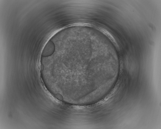 X0000111160852200907281151