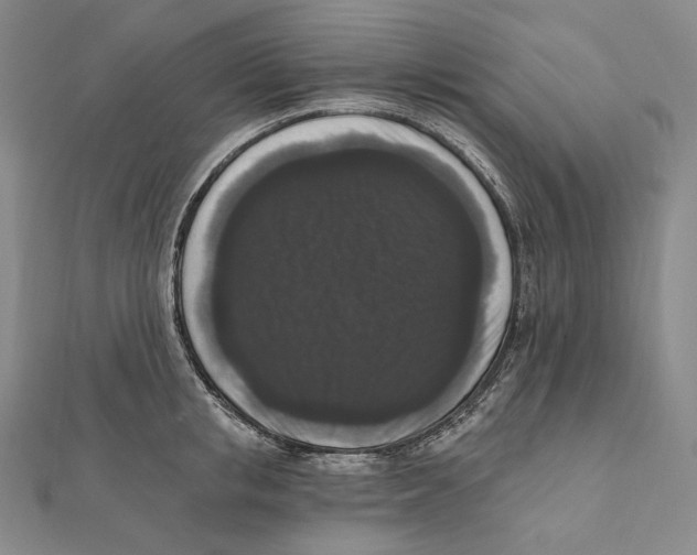 X0000111160853200907281151