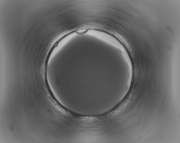 X0000111160854200907281151