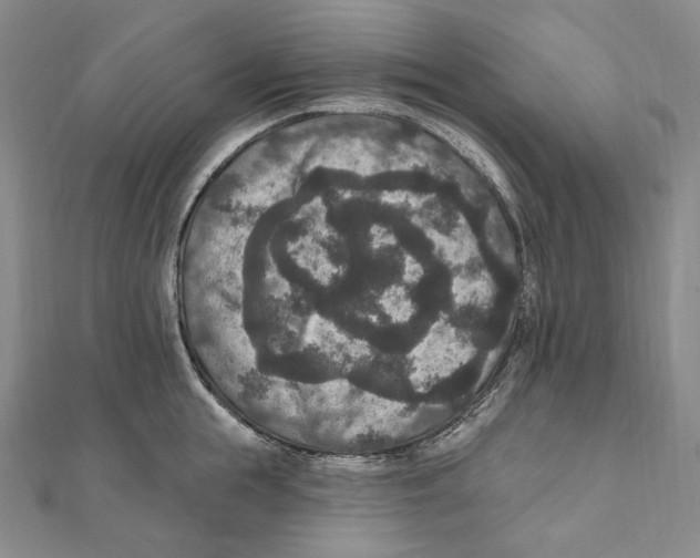 X0000111160855200907281151