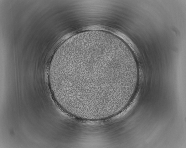 X0000111160857200907281151