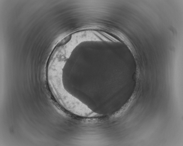 X0000111160858200907281151
