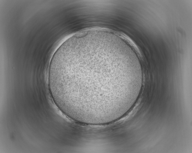 X0000111160860200907281151
