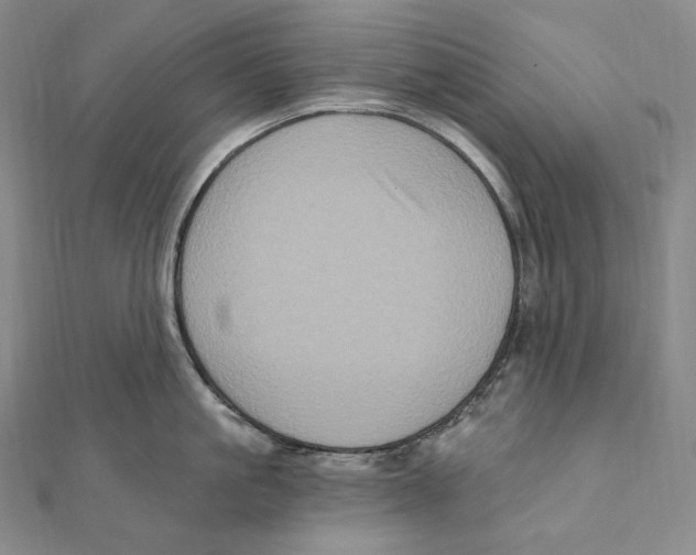 X0000111160861200907281151