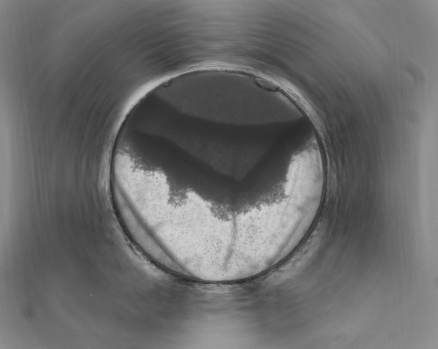 X0000111160862200907281151