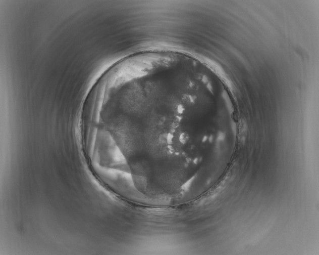 X0000111160863200907281151