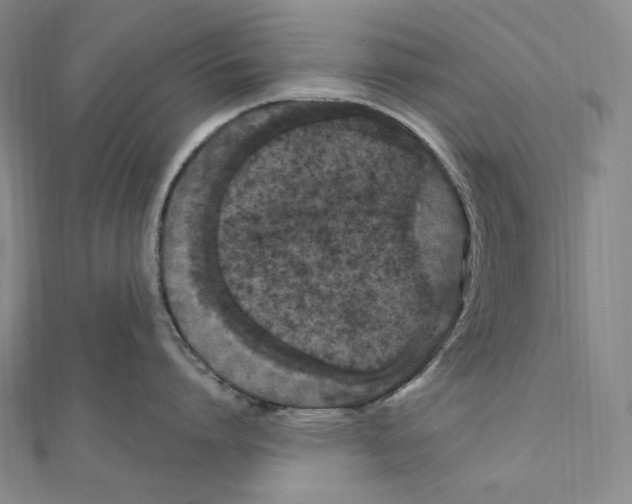 X0000111160864200907281151